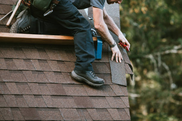 Best Roof Maintenance Services  in Clinton, TN